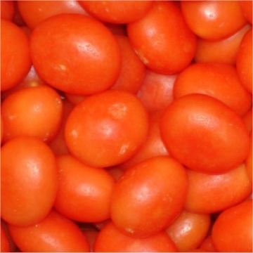 Gevulde Buttercream (Boterbal orange) per 200 gram Gevulde Buttercream (Boterbal orange) per 200 gram